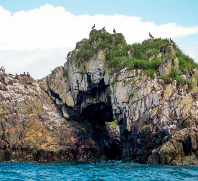 Captura de pantalla 2026 04 04 001316