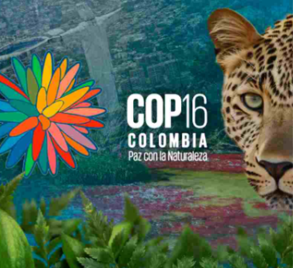 Captura de pantalla 2026 04 04 161456